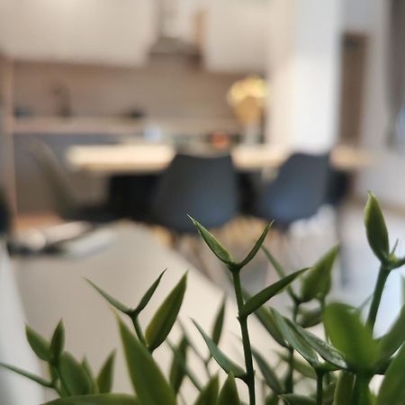 Apartma Bella Nadiza Кобарід Екстер'єр фото