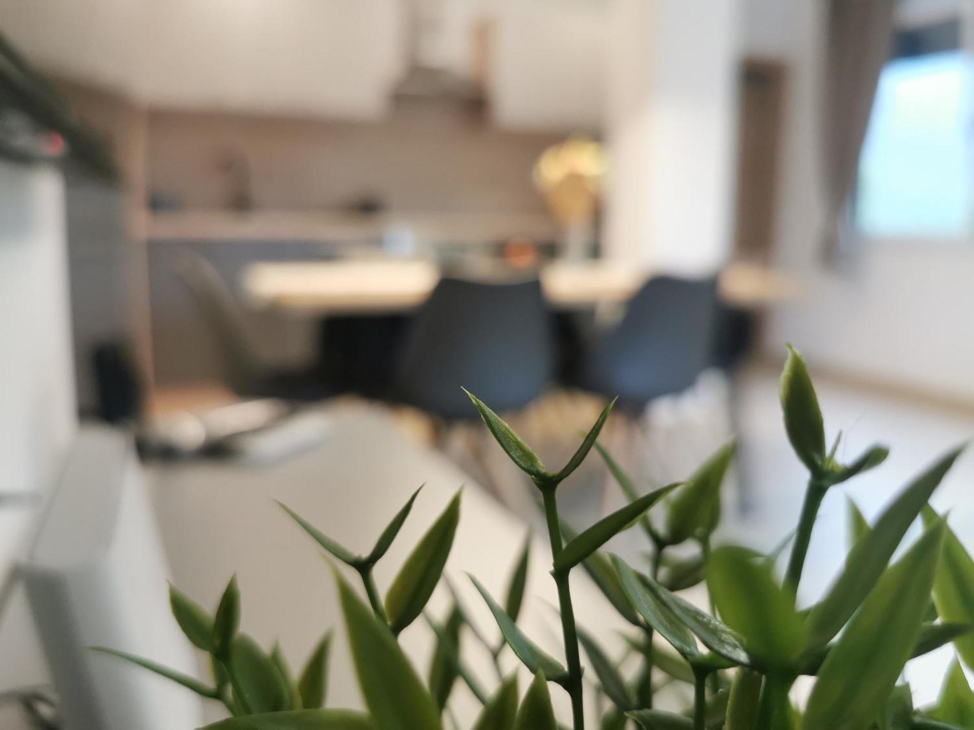 Apartma Bella Nadiza Кобарід Екстер'єр фото